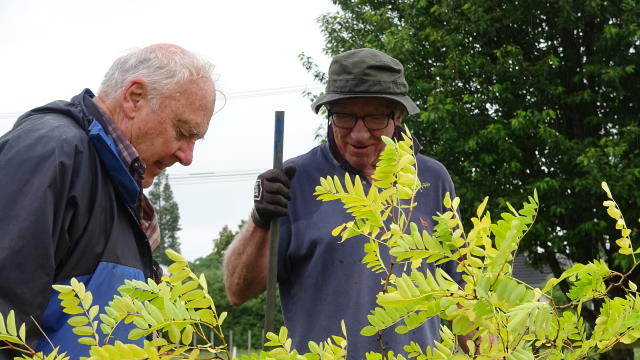 5. Frank and Pete admire their work.jpg