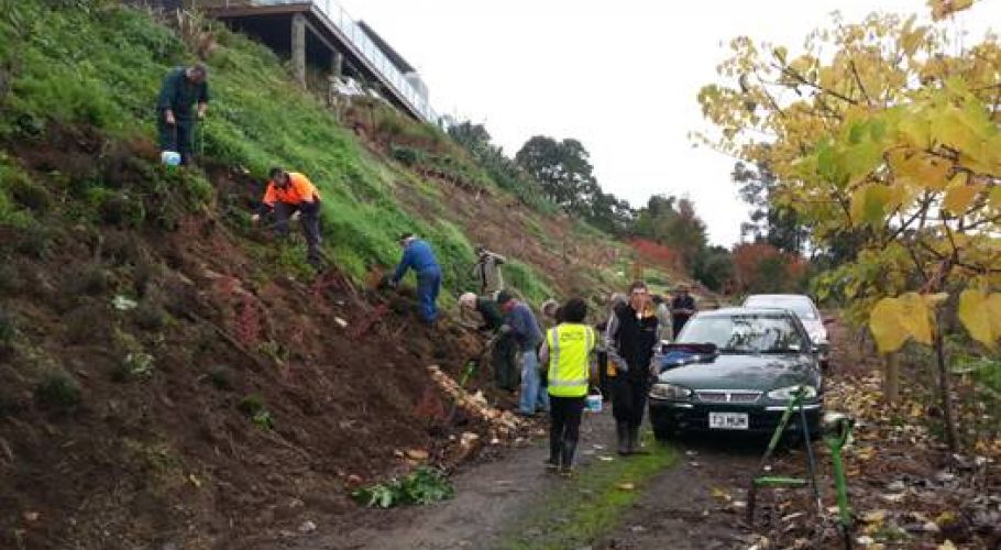 At the bottom of the bank below the houses.jpg