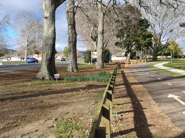 D8 Payne Park road verge 3 looking east.jpg