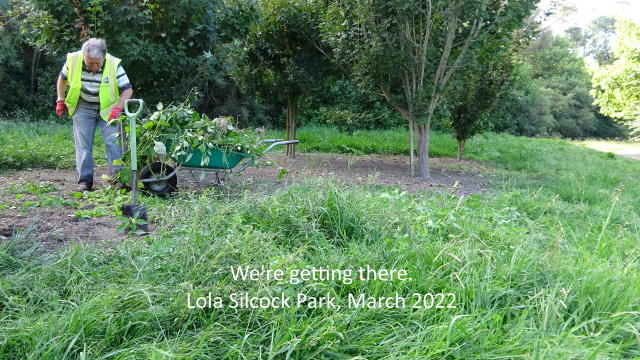 DSC00287.jpg