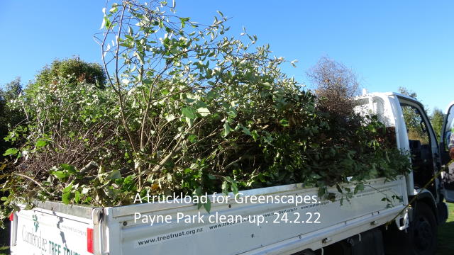Payne Park clean-up 8. 24.2.22.jpg