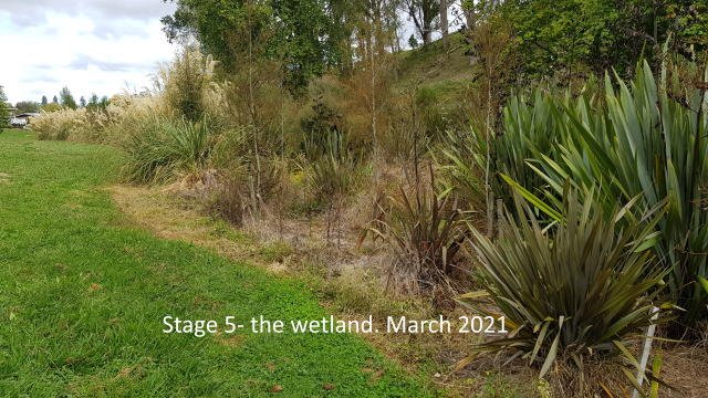 Meadow Walk 2021