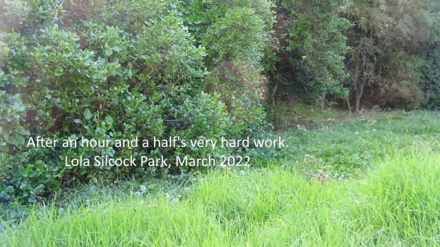 Lola Silcock Park March 22