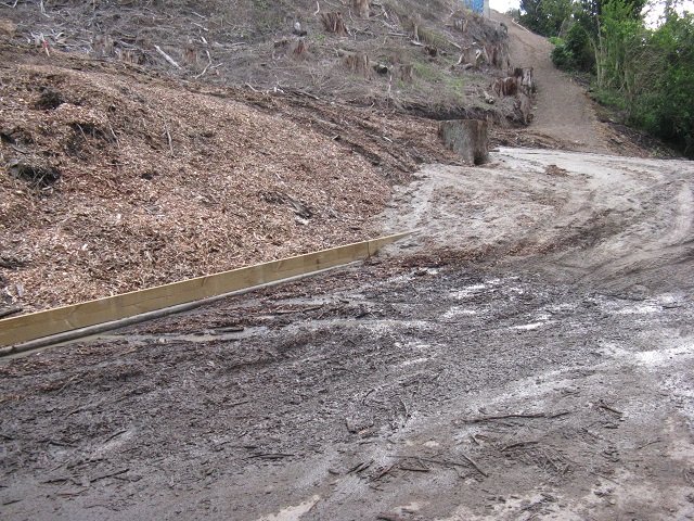 Washout April 2015 04. Cambridge Tree Trust