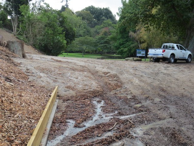 Washout April 2015 18. Cambridge Tree Trust