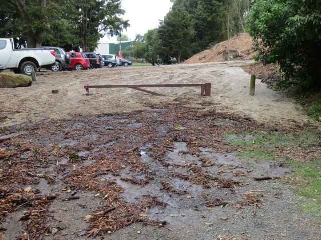 Washout April 2015 19. Cambridge Tree Trust