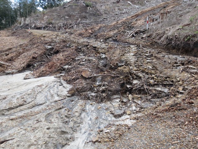 Washout April 2015 09. Cambridge Tree Trust