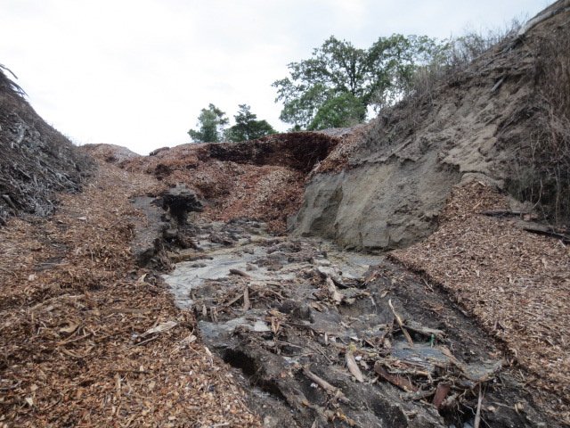 Washout April 2015 11. Cambridge Tree Trust