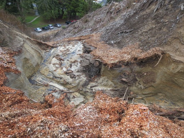 Washout April 2015 12. Cambridge Tree Trust