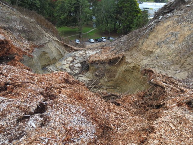 Washout April 2015 13. Cambridge Tree Trust