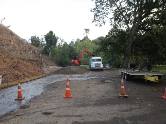 Washout April 2015 17. Cambridge Tree Trust