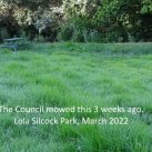 Lola Silcock Park March 22