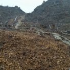 Washout April 2015 01. Cambridge Tree Trust