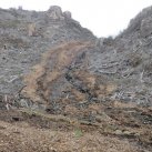 Washout April 2015 08. Cambridge Tree Trust