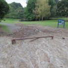 Washout April 2015 21. Cambridge Tree Trust