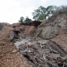 Washout April 2015 11. Cambridge Tree Trust