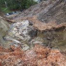 Washout April 2015 12. Cambridge Tree Trust