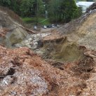 Washout April 2015 13. Cambridge Tree Trust