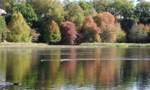 Lake Te Ko Utu